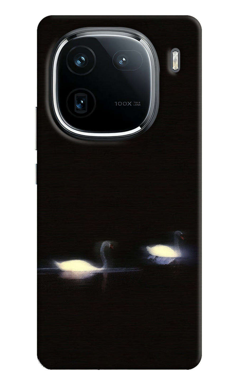 Silent Swans iQOO 12 5G Back Cover, Hard case