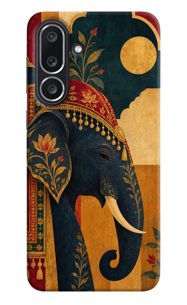 Royal Elephant Samsung M36 5G Hard Case Back Cover by Casekaro