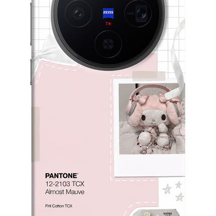 Pantone Asthetic Vivo X300 Hard Case Back Cover by Casekaro