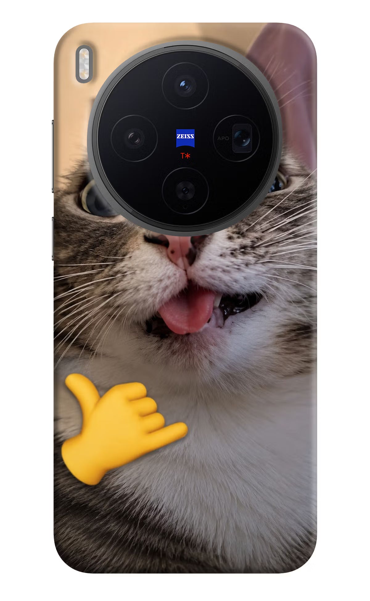 Silly Cat Call Vivo X300 Back Cover