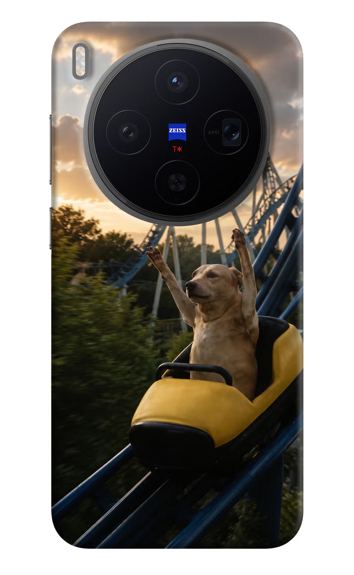 Rollercoaster Dog Vivo X300 Back Cover