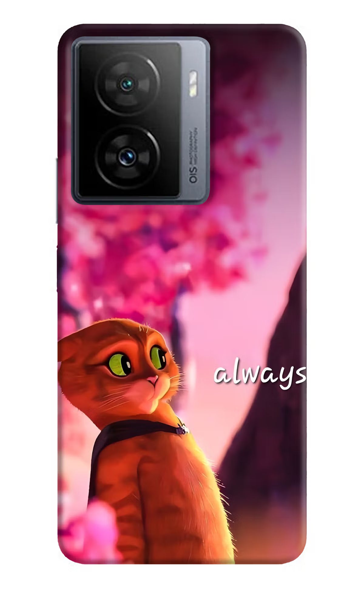 Always Cat iQOO Z7s 5G Back Cover