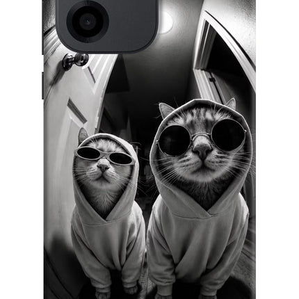 Hood Cats OnePlus Nord CE 6 Back Cover