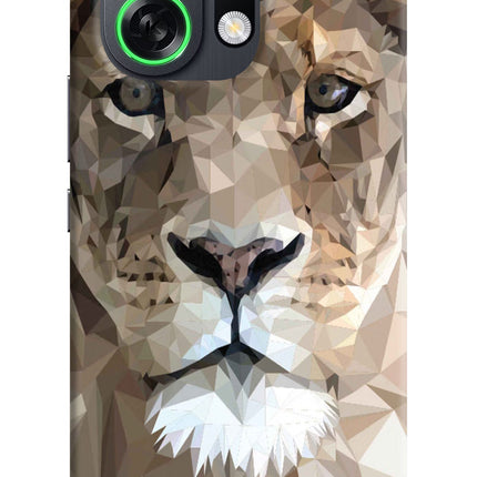 Lion Art OPPO K13 Turbo Pro 5G Back Cover