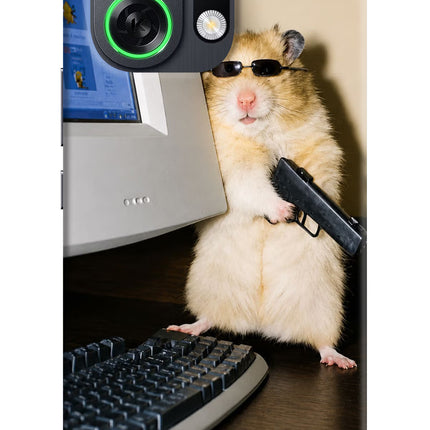 Hacker Hamster OPPO K13 Turbo Pro 5G Back Cover