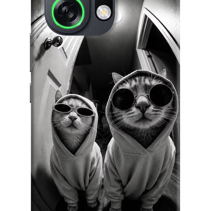 Hood Cats OPPO K13 Turbo Pro 5G Back Cover