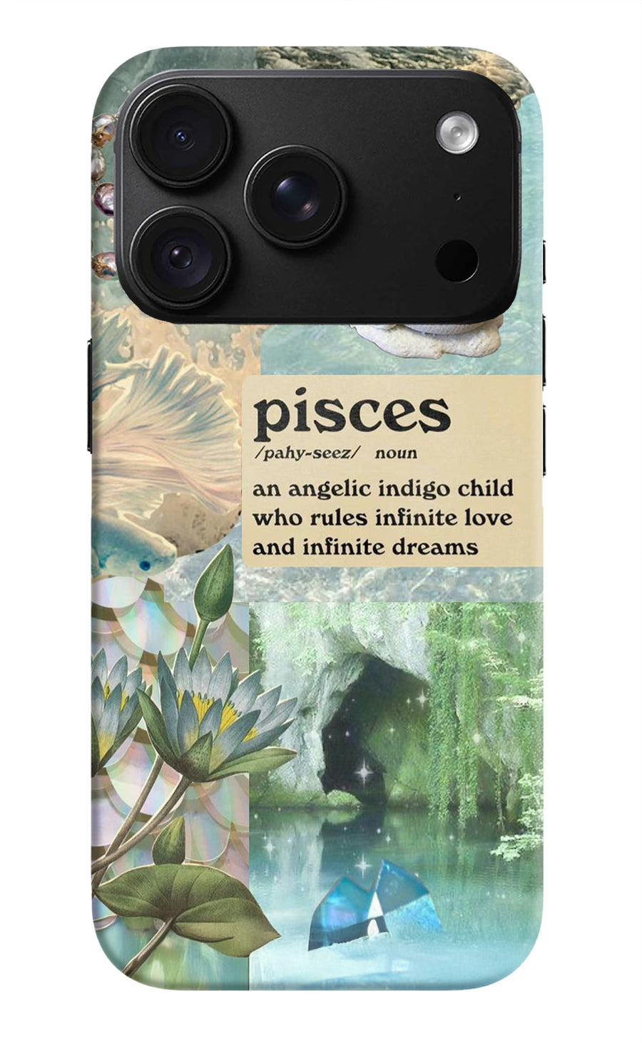 Pisces Zodiac iPhone 18 Pro Back Cover, Hard case