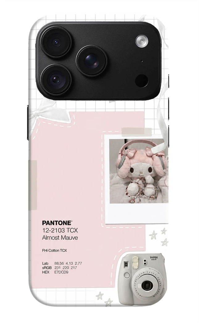 Pantone Asthetic iPhone 18 Pro Hard Case Back Cover by Casekaro