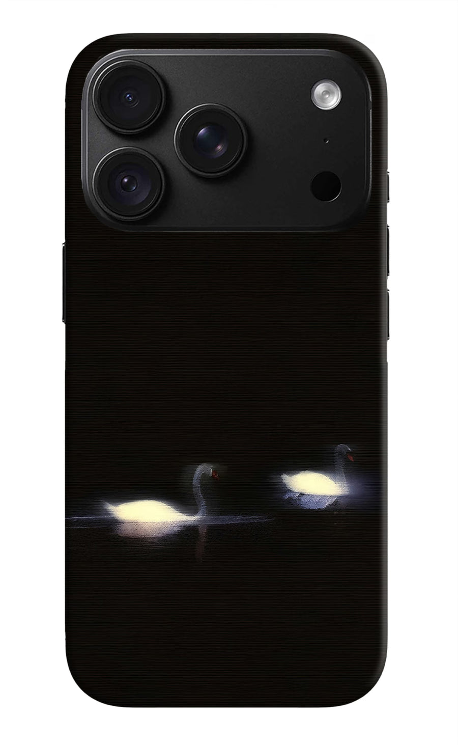 Silent Swans iPhone 18 Pro Max Back Cover, Hard case