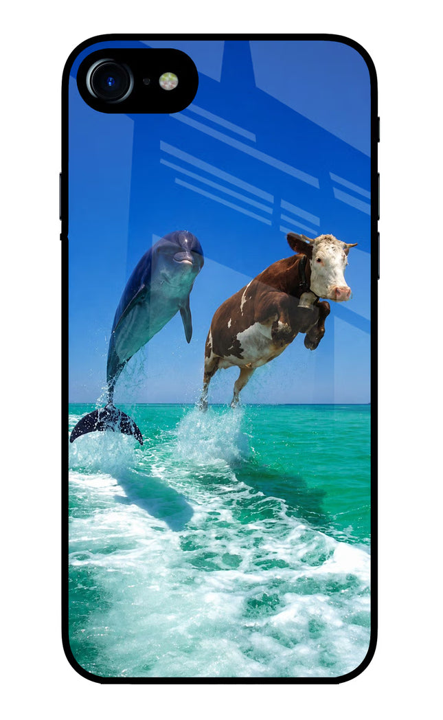 Dolphin vs Cow iPhone 8 Glass Case