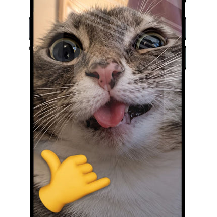 Silly Cat Call iPhone 8 Glass Case