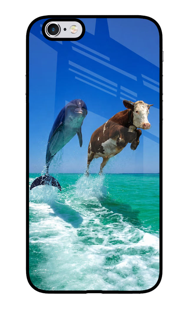 Dolphin vs Cow iPhone 6 Plus/6s Plus Glass Case