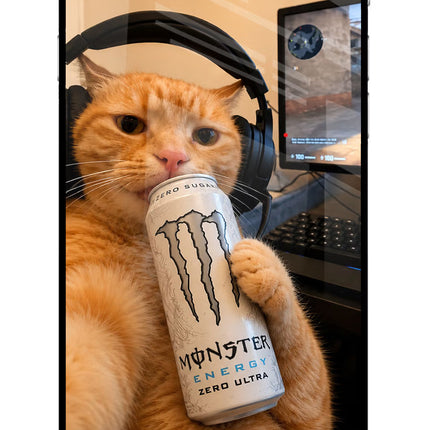 Gamer Cat Energy iPhone 6 Plus/6s Plus Glass Case