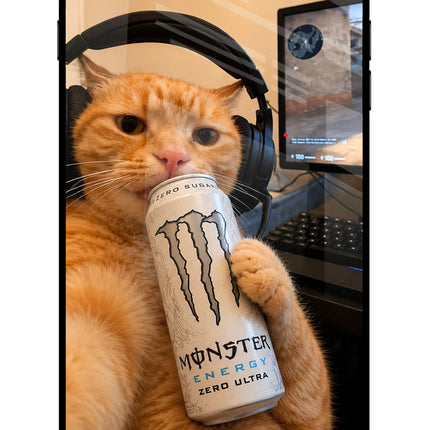 Gamer Cat Energy iPhone 8 Plus Glass Case