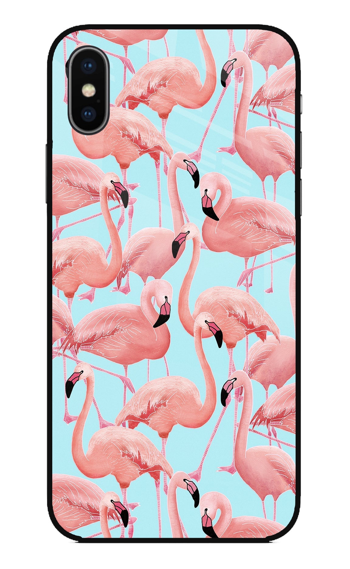 Flamboyance iPhone X Glass Case