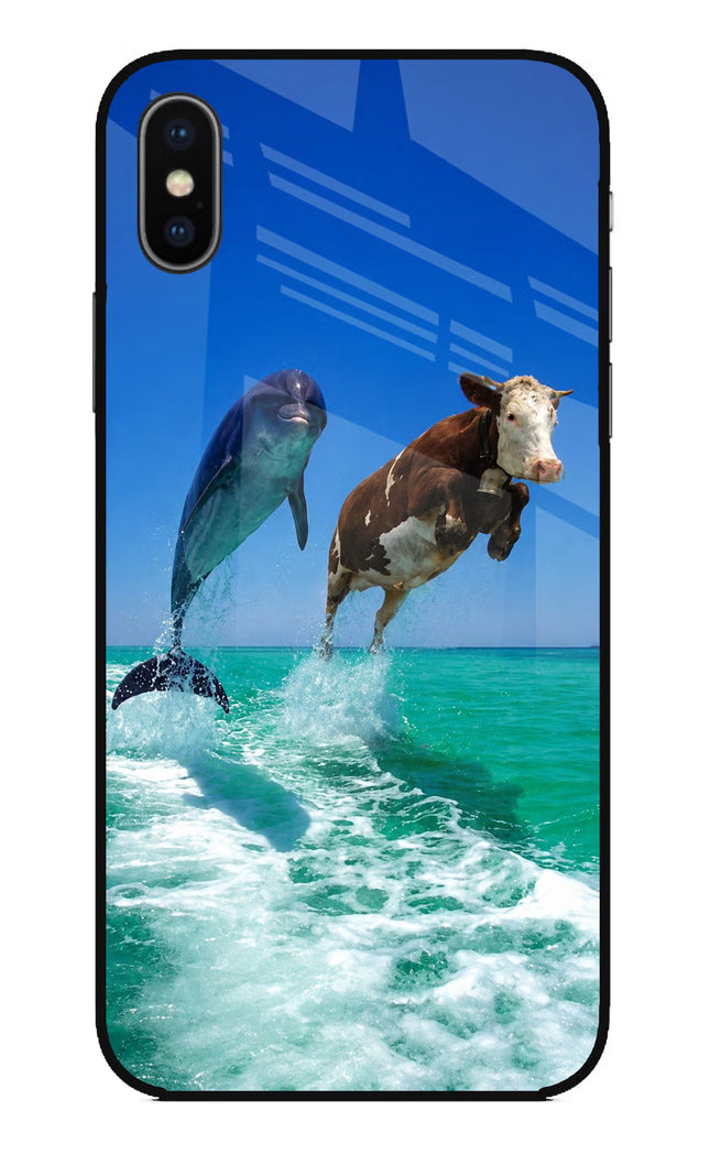 Dolphin vs Cow iPhone X Glass Case