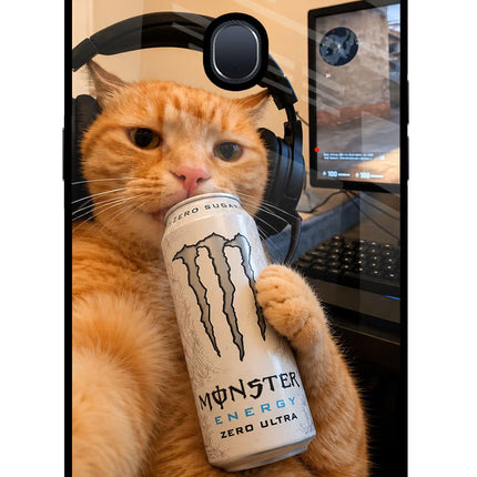 Gamer Cat Energy Oppo F9/F9 Pro Glass Case Back Cover by Casekaro