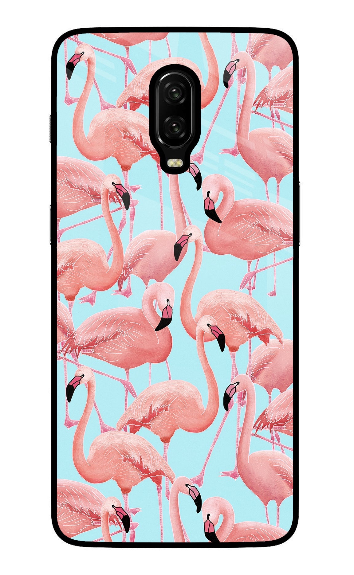 Flamboyance Oneplus 6T Back Cover