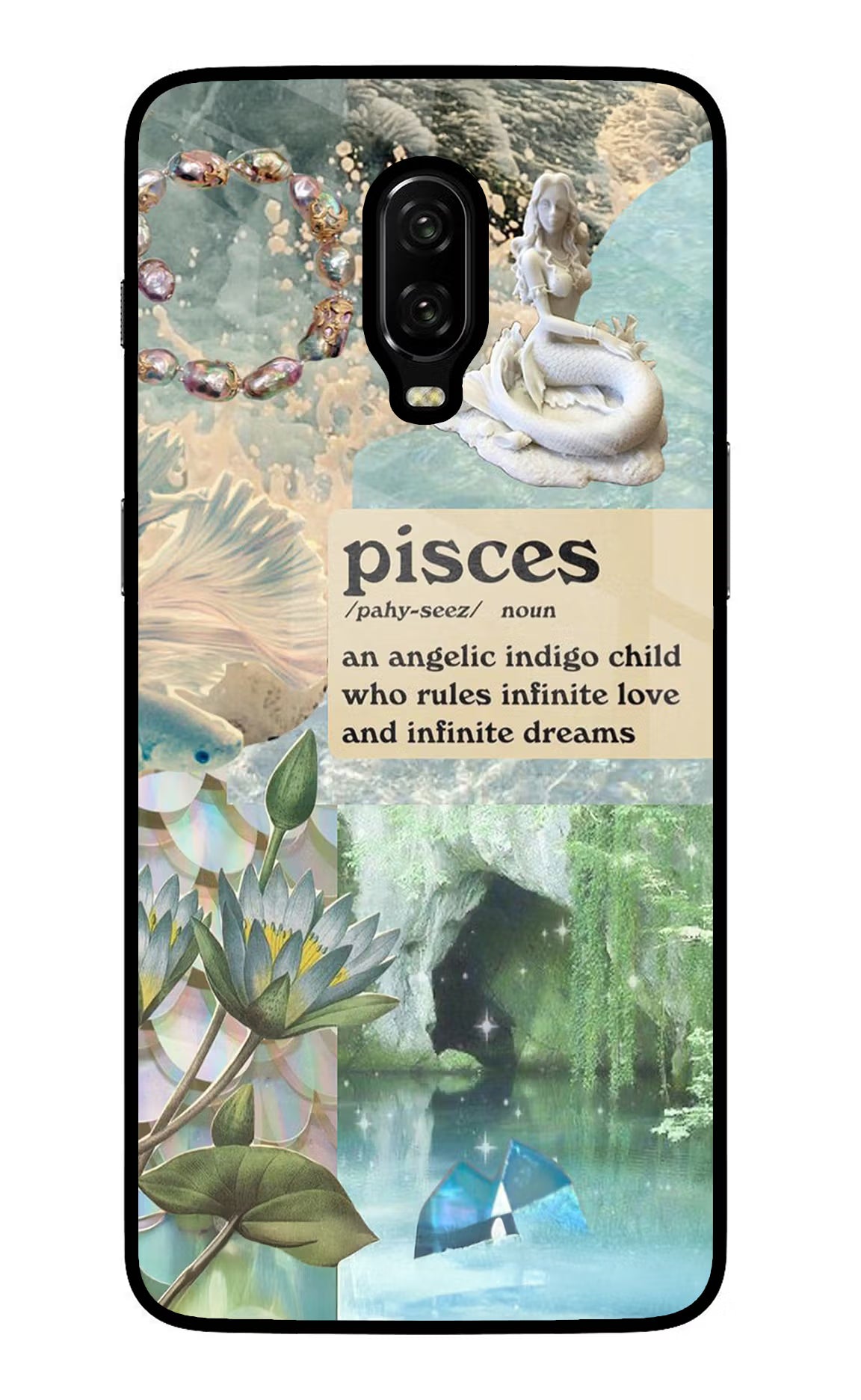 Pisces Zodiac Oneplus 6T Glass Case