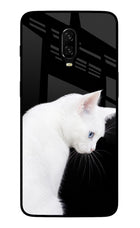Snow Gaze Oneplus 6T Glass Case