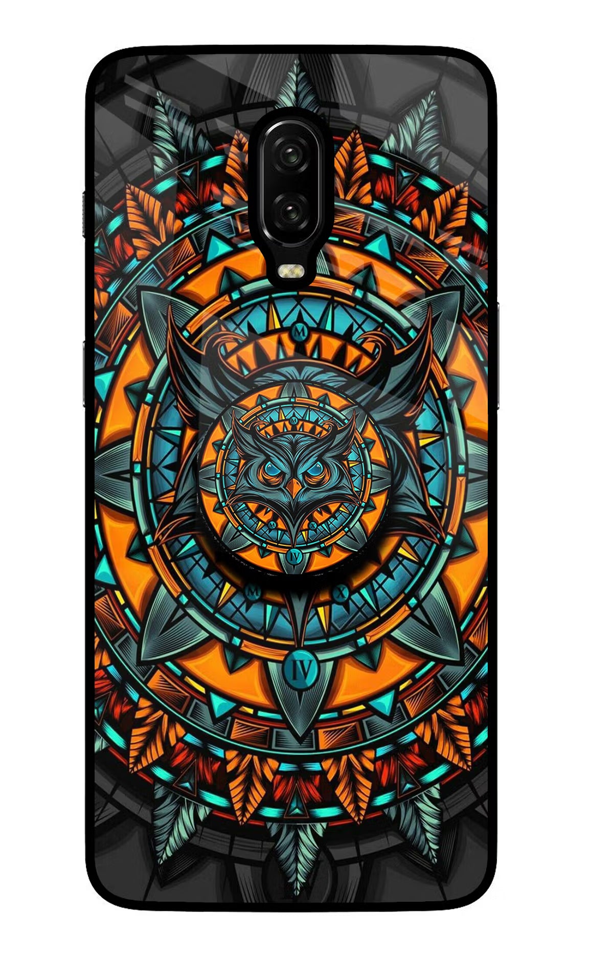 Angry Owl Oneplus 6T Glass Case