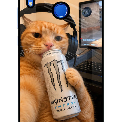 Gamer Cat Energy Honor 8X Glass Case
