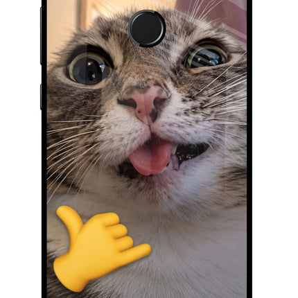 Silly Cat Call Honor 9N Glass Case Back Cover by Casekaro