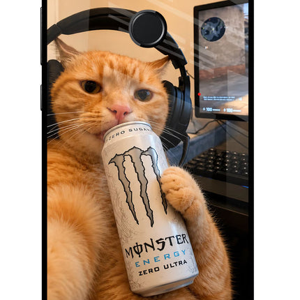 Gamer Cat Energy Honor 9N Glass Case Back Cover by Casekaro
