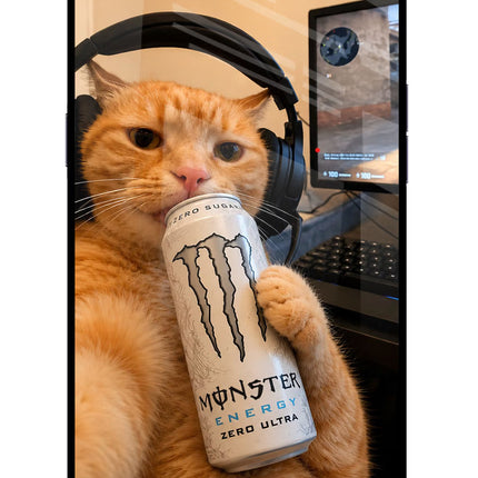 Gamer Cat Energy Oppo A3S Glass Case