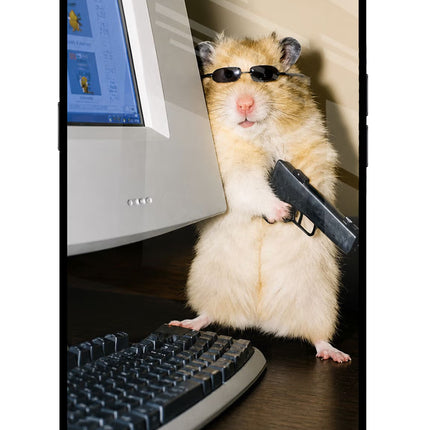 Hacker Hamster Realme C1 Glass Case