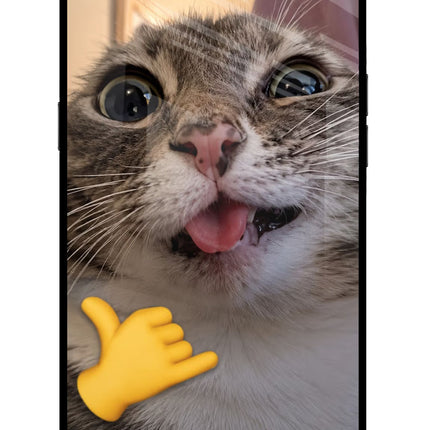 Silly Cat Call Realme C1 Glass Case