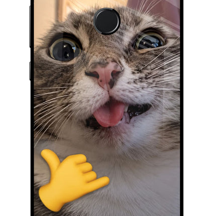 Silly Cat Call Honor 9 Lite Glass Case