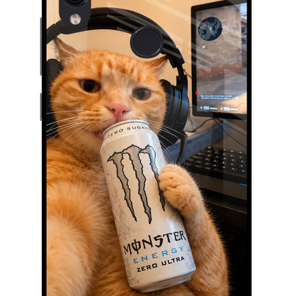 Gamer Cat Energy Redmi Note 7/7S/7 Pro Glass Case