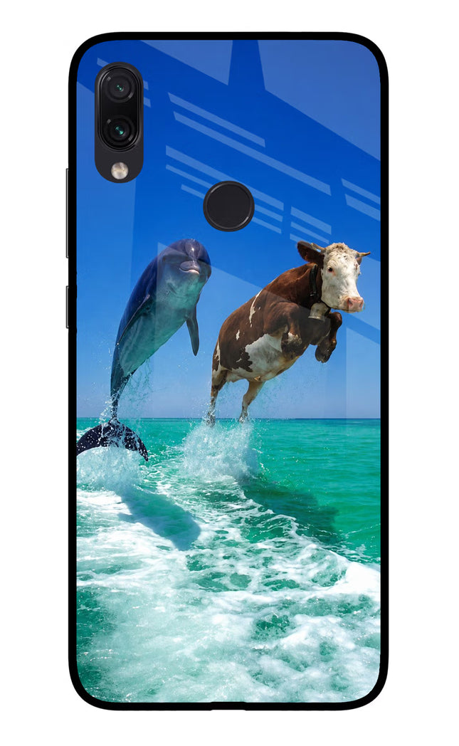 Dolphin vs Cow Redmi Note 7 Pro Glass Case Back Cover by Casekaro