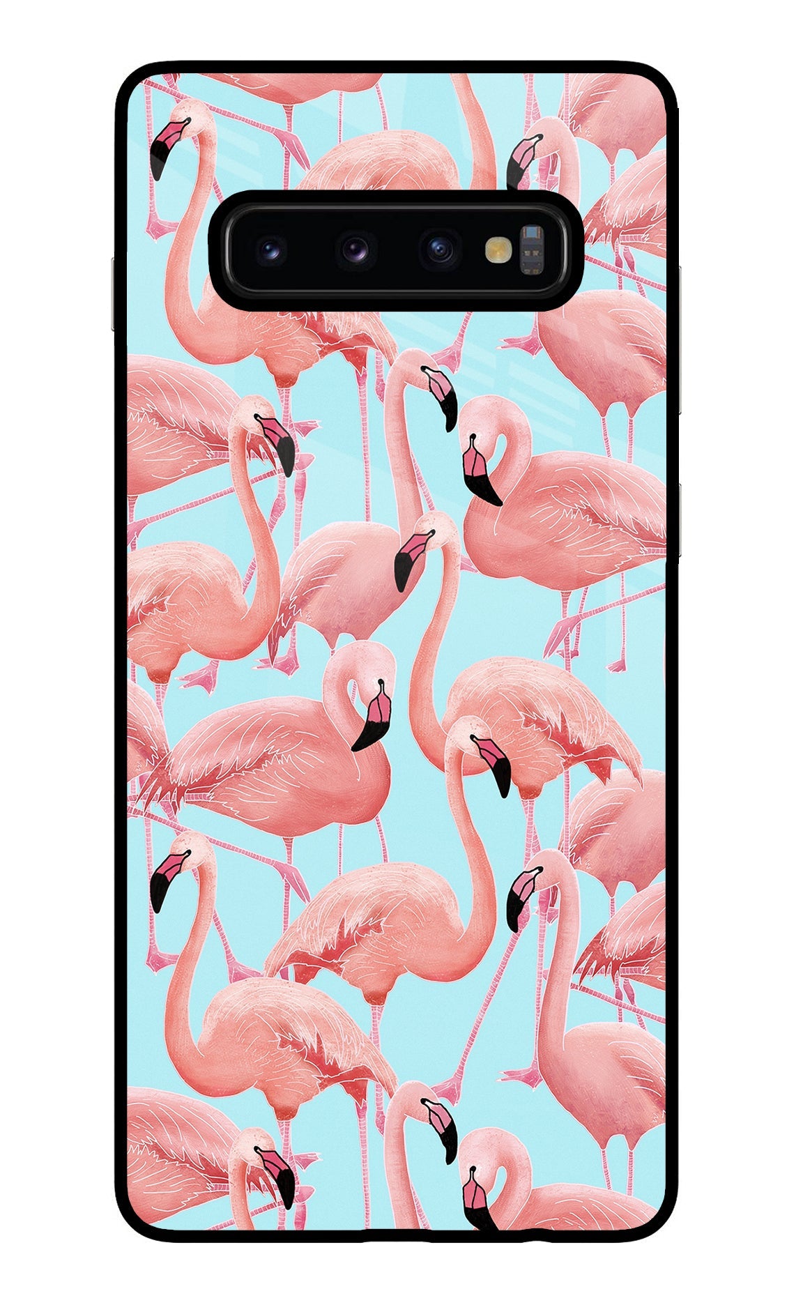 Flamboyance Samsung S10 Plus Back Cover