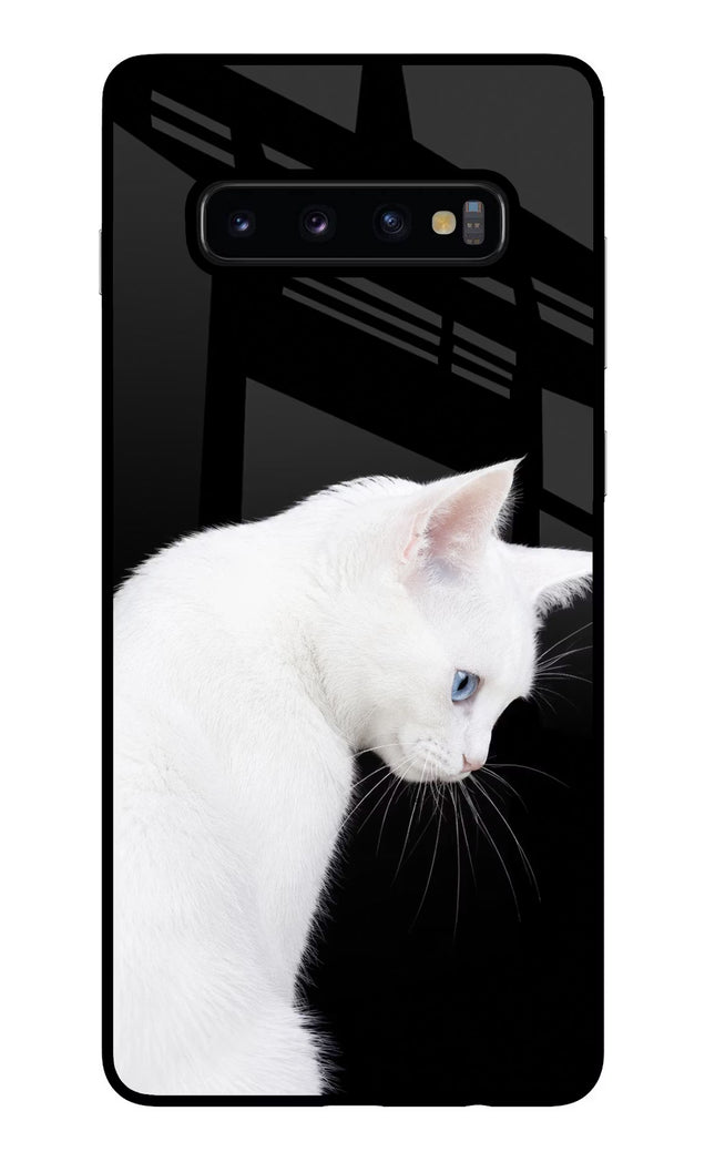 Snow Gaze Samsung S10 Plus Glass Case