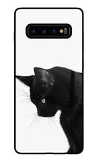 Shadow Gaze Samsung S10 Plus Glass Case