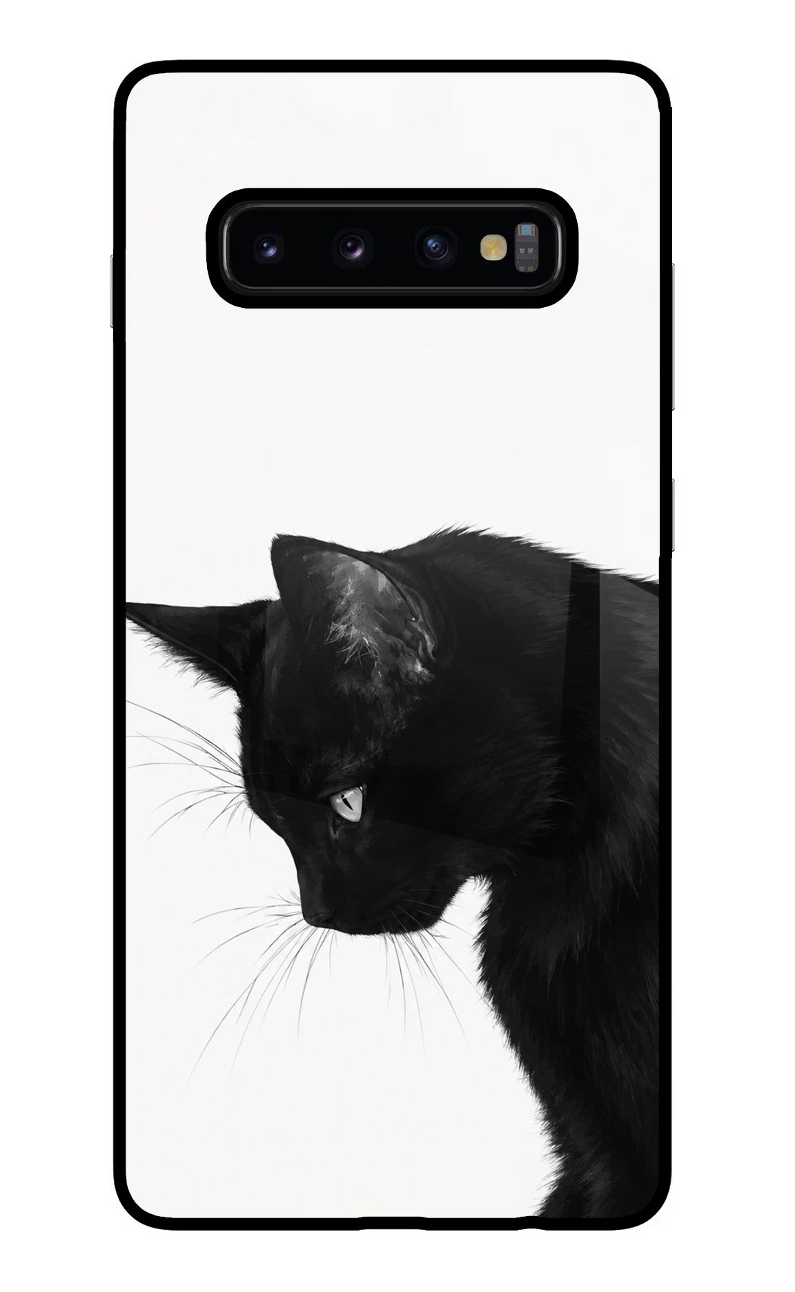 Shadow Gaze Samsung S10 Plus Glass Case