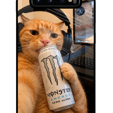 Gamer Cat Energy Samsung S10 Plus Glass Case