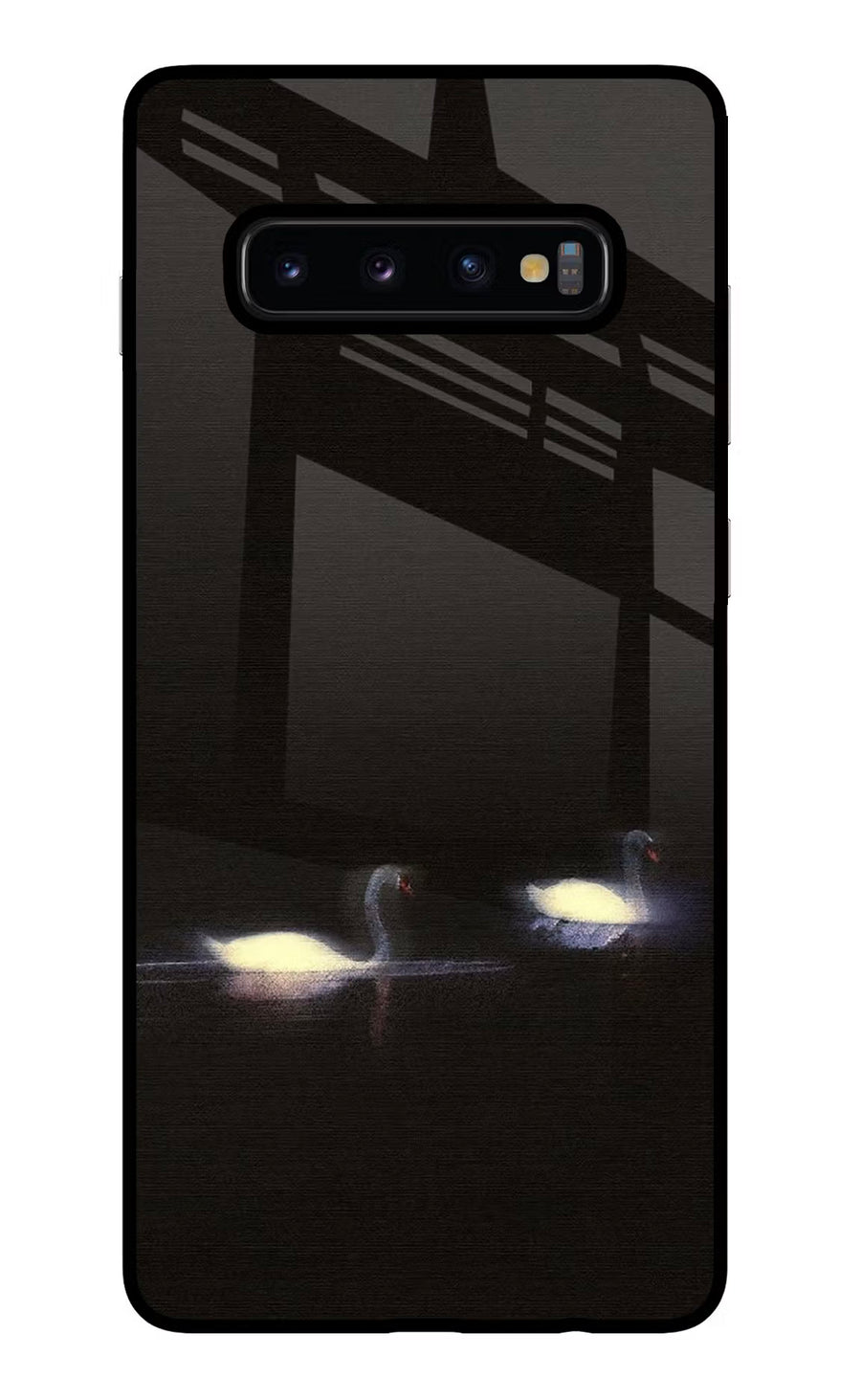 Silent Swans Samsung S10 Plus Back Cover, Glass case