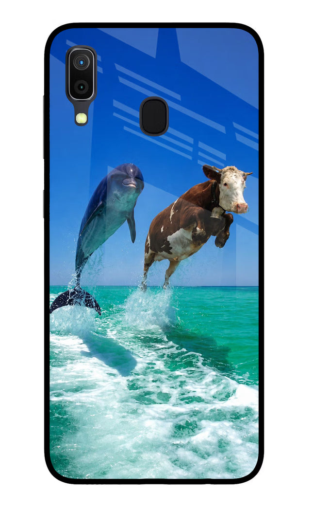 Dolphin vs Cow Samsung A30 Glass Case