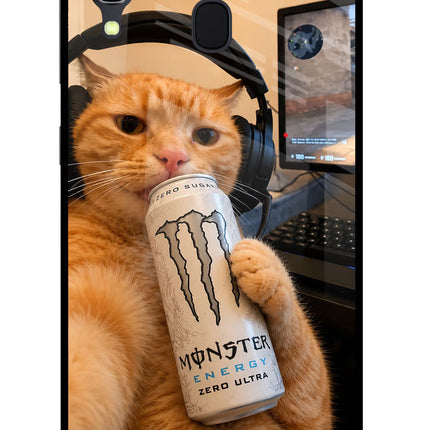 Gamer Cat Energy Samsung A30 Glass Case