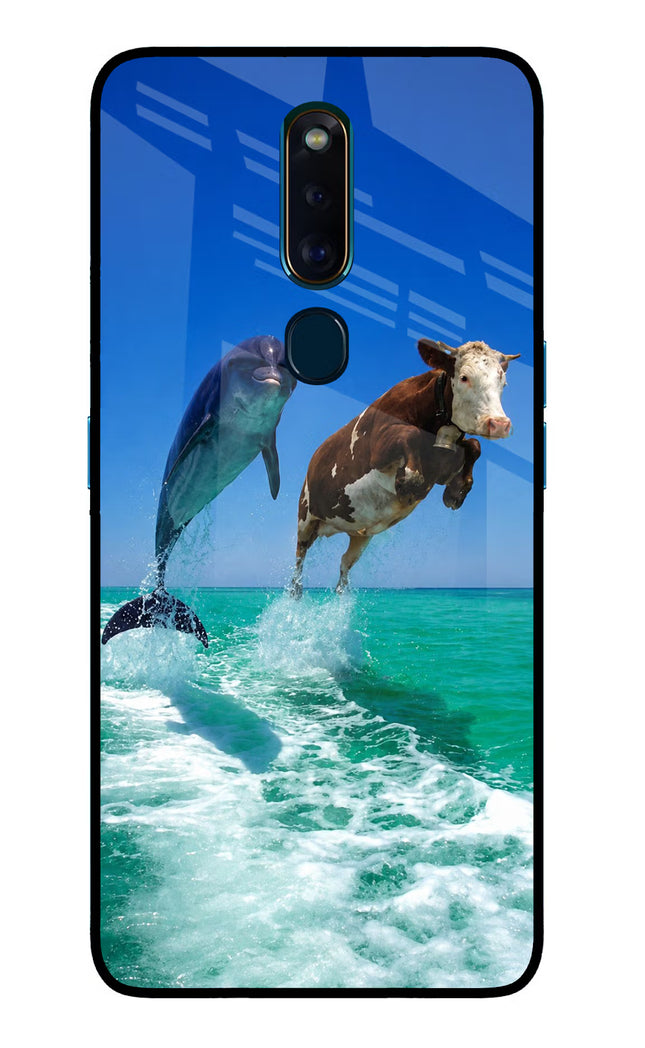 Dolphin vs Cow Oppo F11 Pro Glass Case