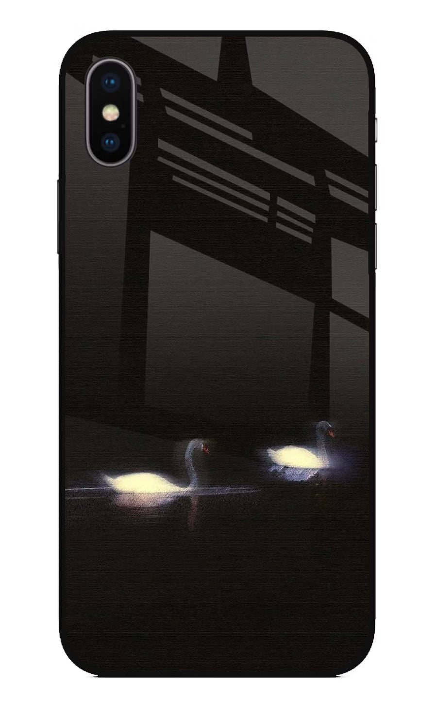 Silent Swans iPhone XS Back Cover, Glass case