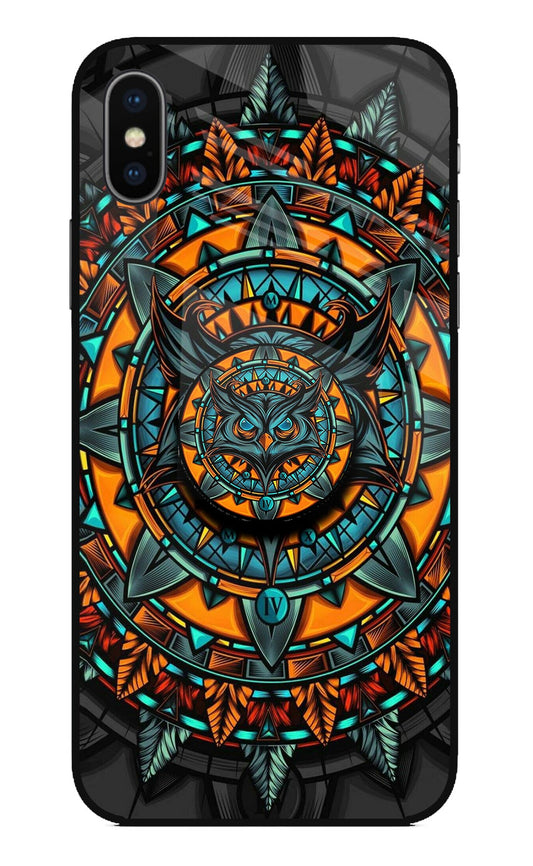 Angry Owl iPhone XS Glass Case