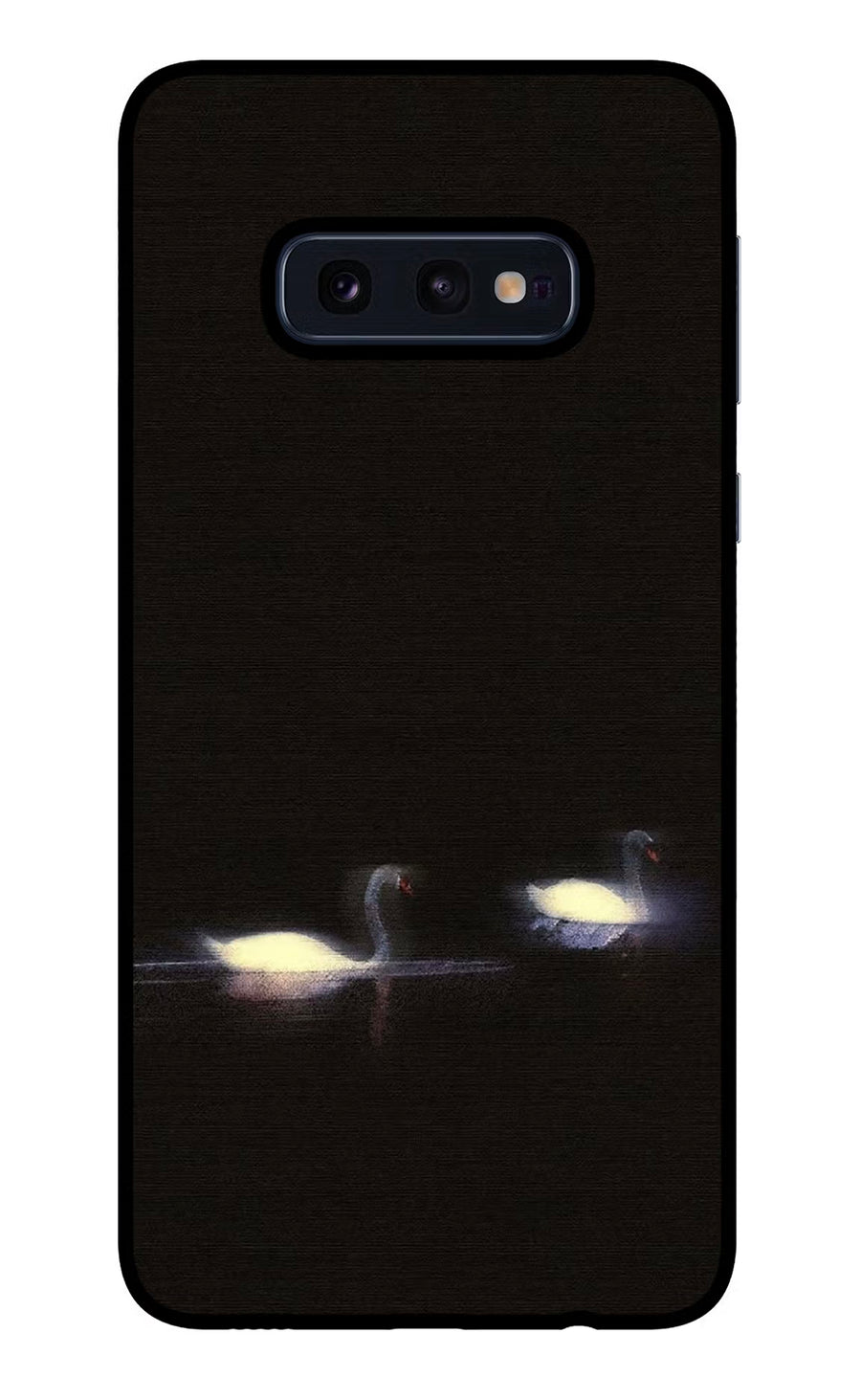 Silent Swans Samsung S10E Back Cover, Glass case