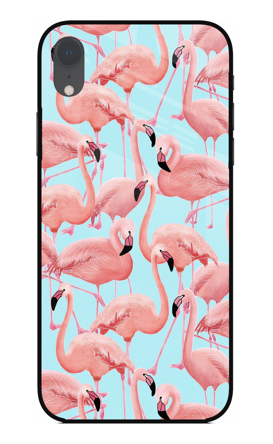 Flamboyance iPhone XR Glass Case