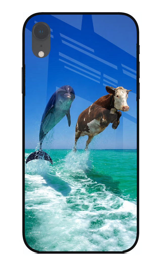 Dolphin vs Cow iPhone XR Glass Case