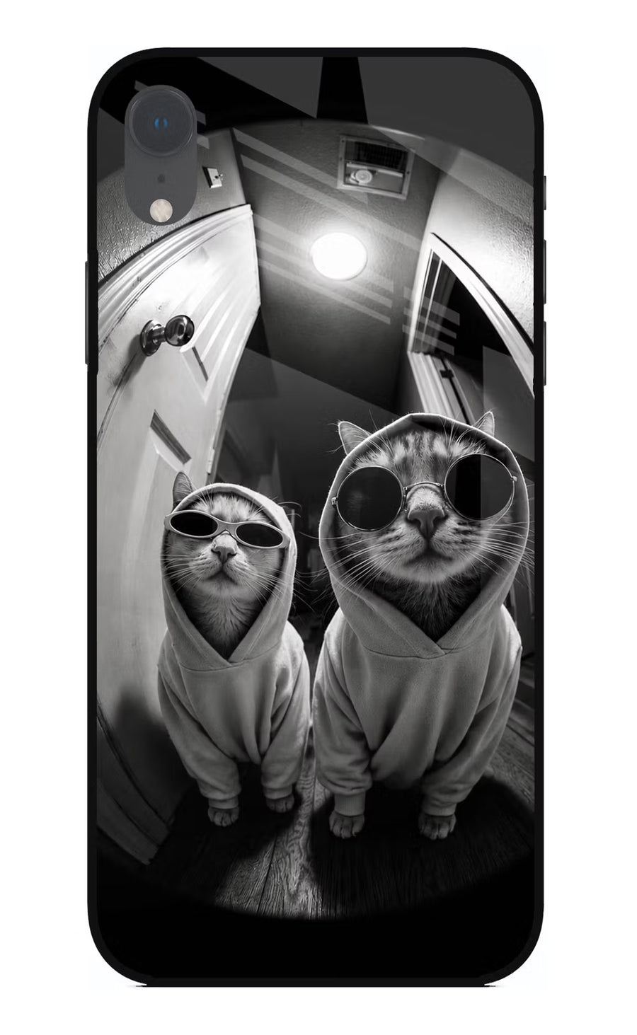 Hood Cats iPhone XR Back Cover, Glass case