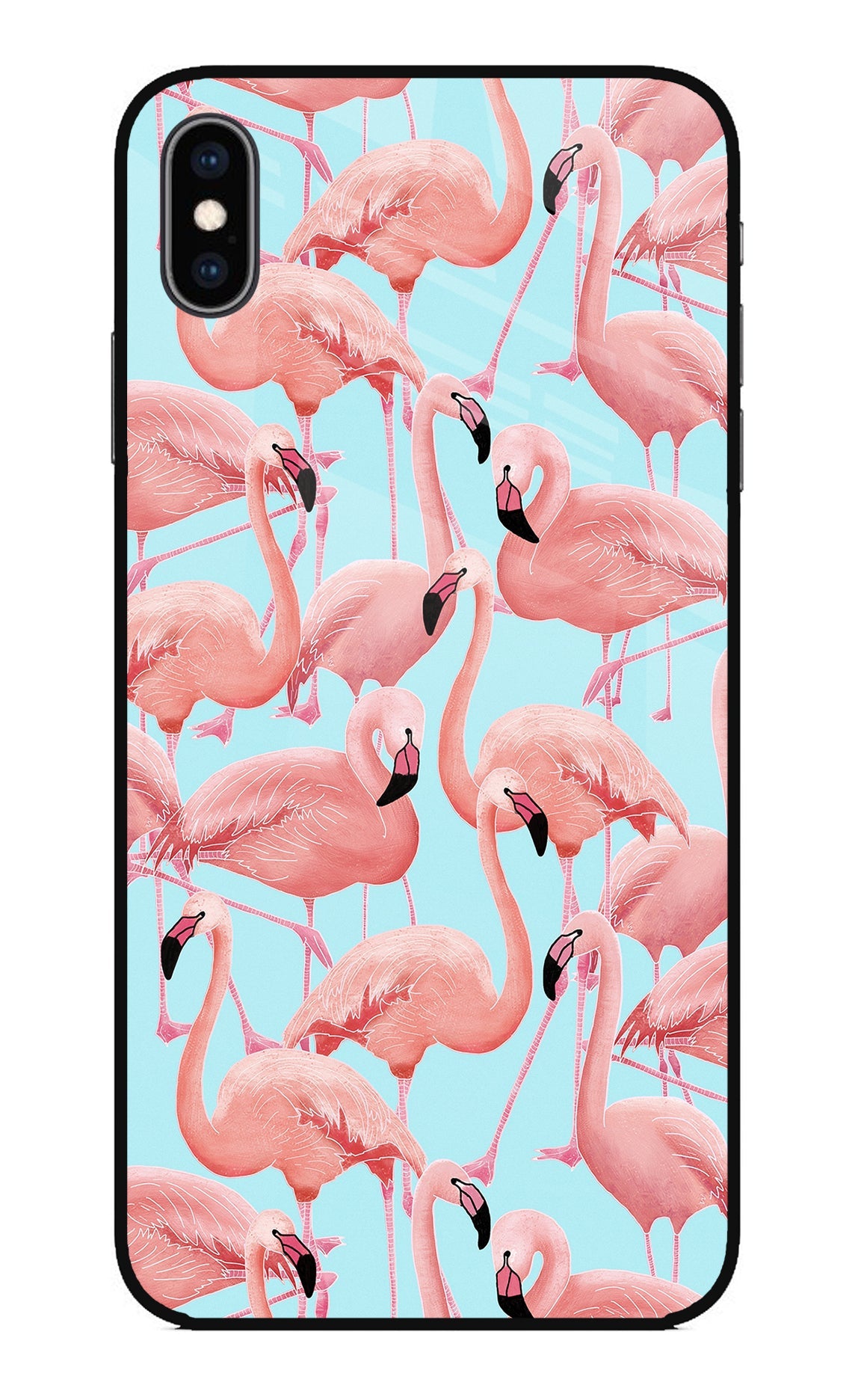 Flamboyance iPhone XS Max Glass Case